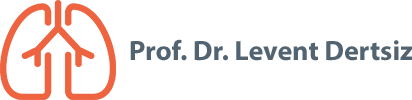 Prof. Dr. Levent Dertsiz